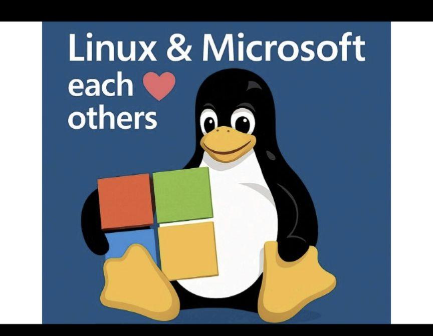 Linux and Microsoft love each others